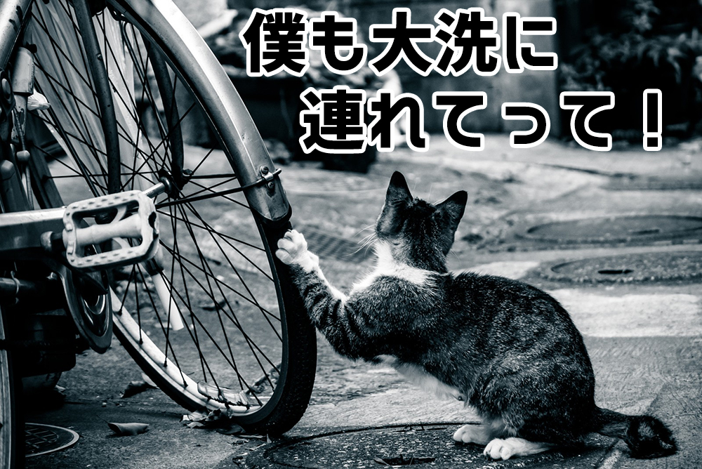 大洗の巡礼は自転車がおすすめ