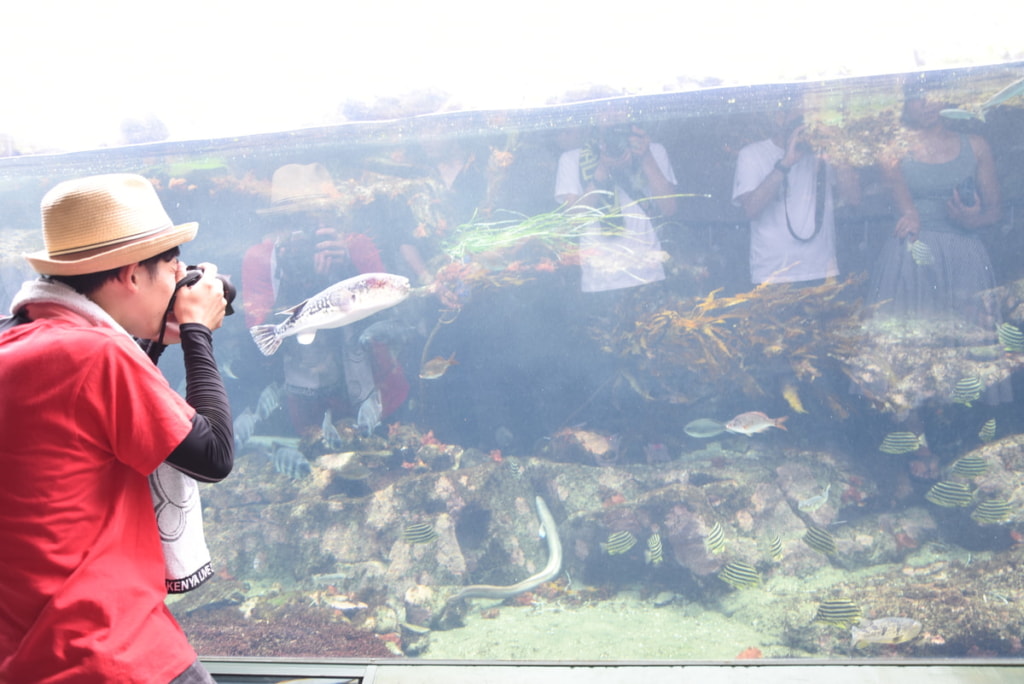 ガルパン聖地　アクアワールド茨城県大洗水族館